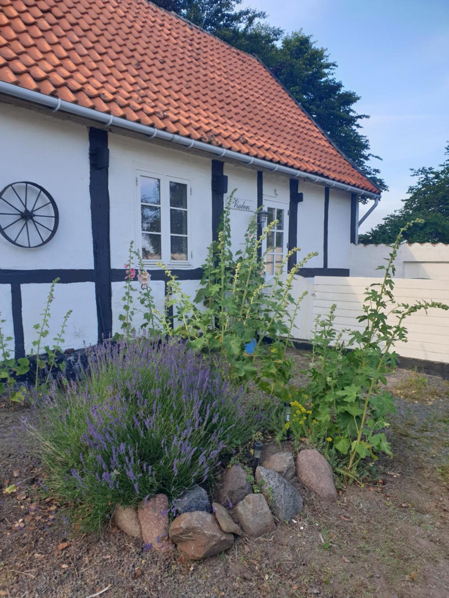 Violen Apartment Åkirkeby Екстериор снимка